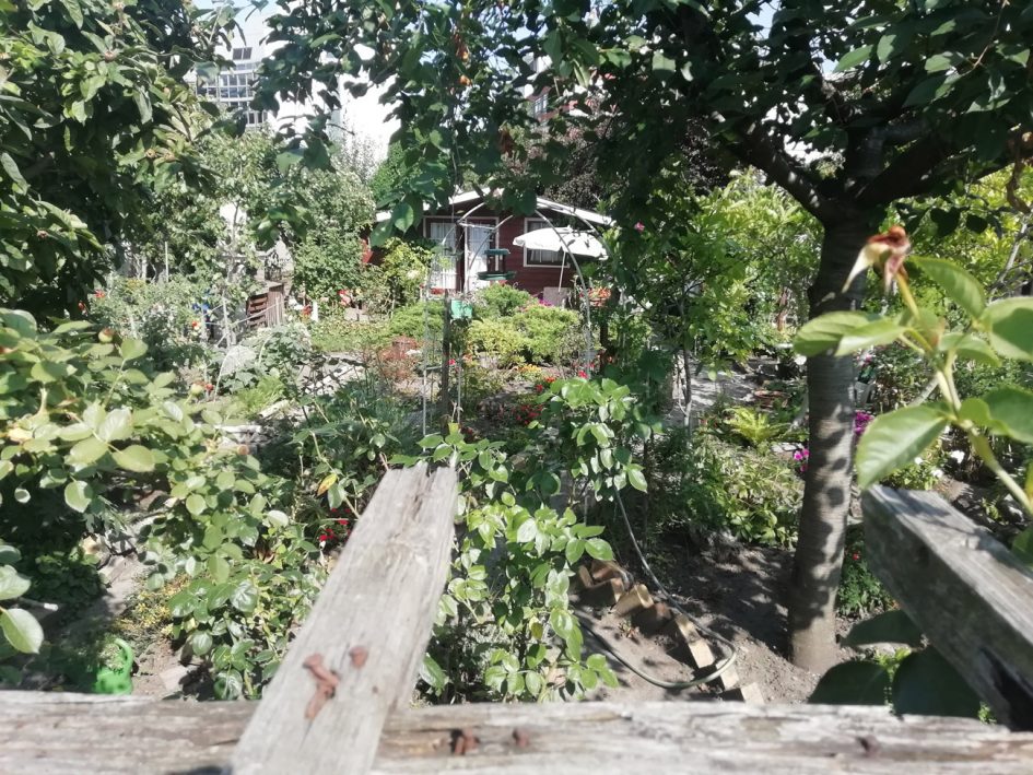 Garten 154